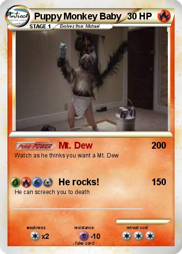 Pokemon Puppy Monkey Baby