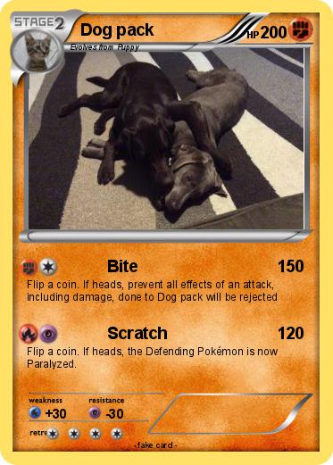 Pokemon Dog pack