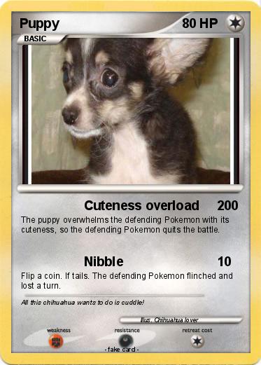 Pokemon Puppy