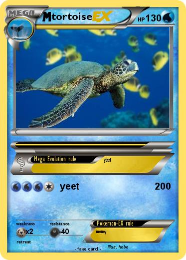 Pokemon tortoise