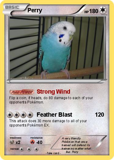 Pokemon Perry