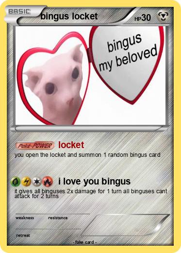Pokemon bingus locket