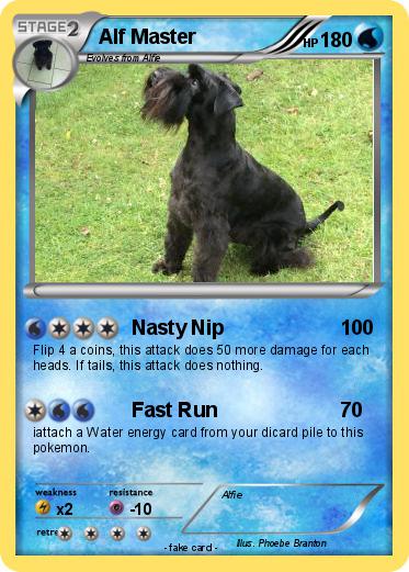 Pokemon Alf Master