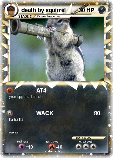Pokemon death by squirrel