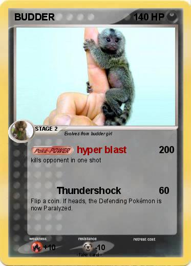 Pokemon BUDDER