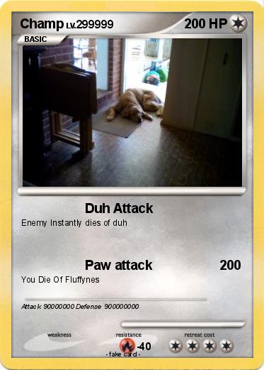 Pokemon Champ