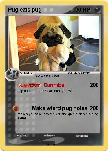 Pokemon Pug eats pug