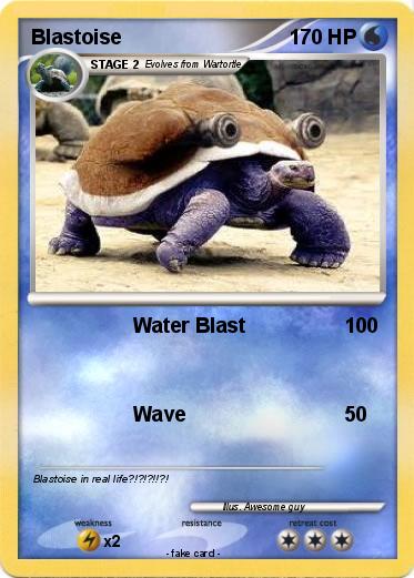 Pokemon Blastoise