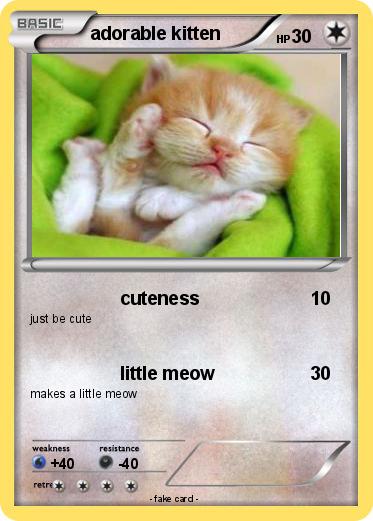 Pokemon adorable kitten