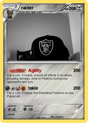 Pokemon raider