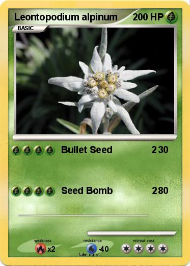 Pokemon Leontopodium alpinum