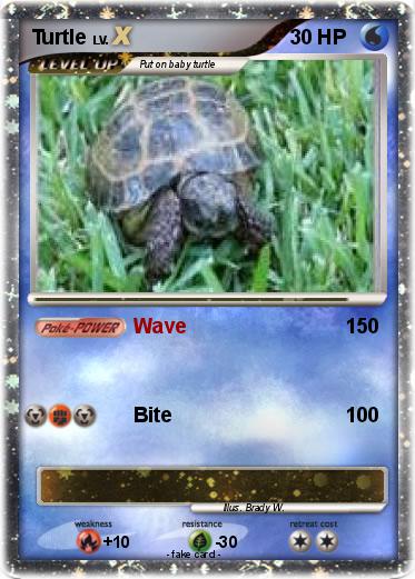 Pokemon Turtle