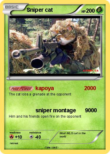 Pokemon Sniper cat