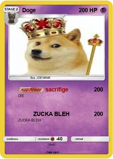 Pokemon Doge