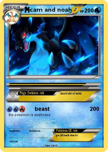 Pokemon cam and noah