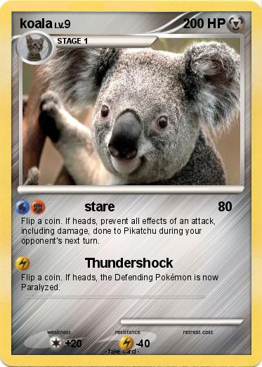Pokemon koala