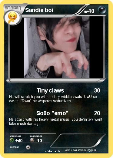 Pokemon Sandie boi