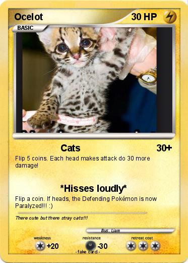 Pokemon Ocelot