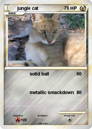 Pokemon jungle cat