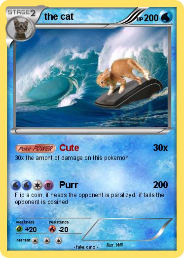 Pokemon the cat