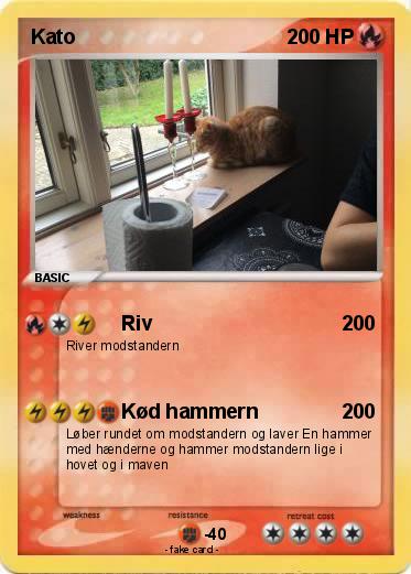 Pokemon Kato