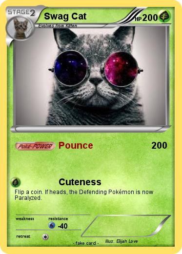 Pokemon Swag Cat