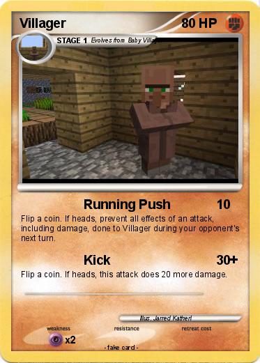 Pokemon Villager
