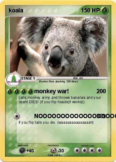 Pokemon koala