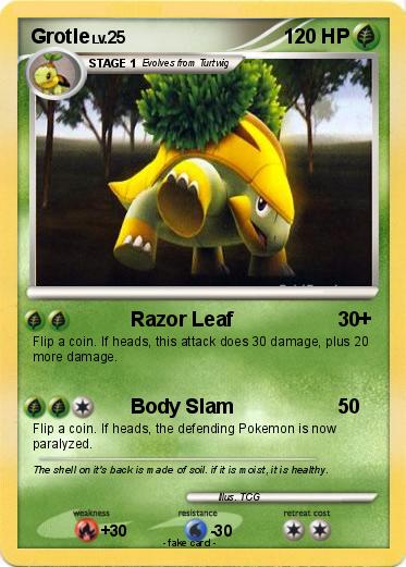 Pokemon Grotle