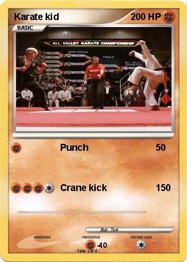Pokemon Karate kid