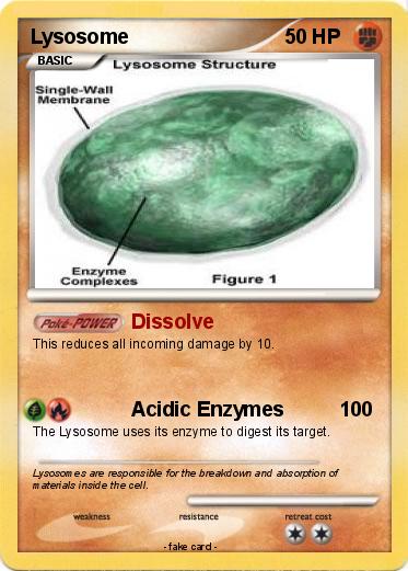 Pokemon Lysosome