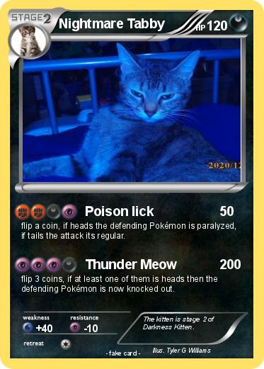 Pokemon Nightmare Tabby