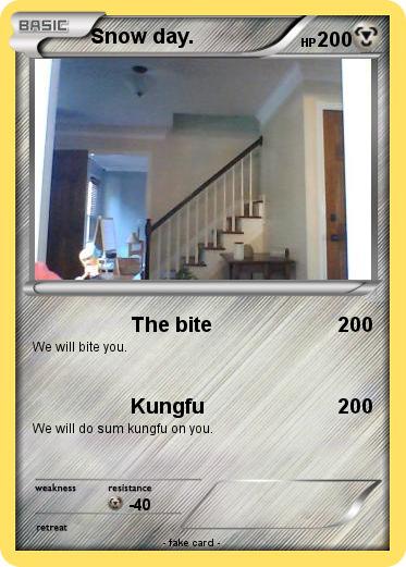 Pokemon Snow day.
