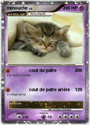 Pokemon minouche