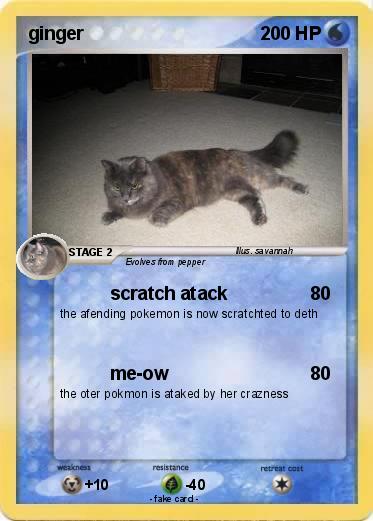 Pokemon ginger