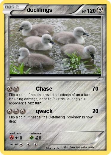 Pokemon ducklings