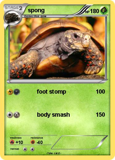 Pokemon spong