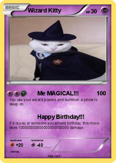 Pokemon Wizard Kitty
