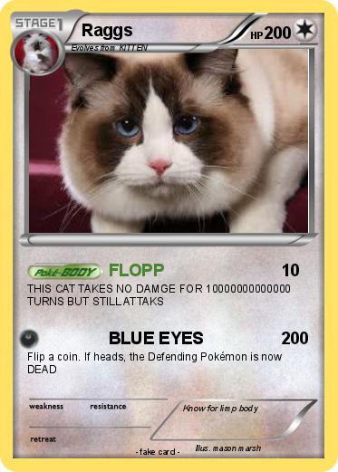 Pokemon Raggs