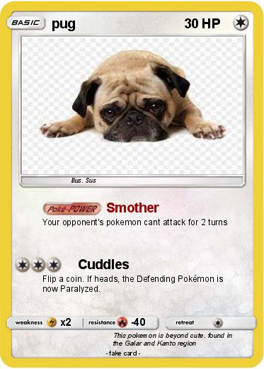 Pokemon pug