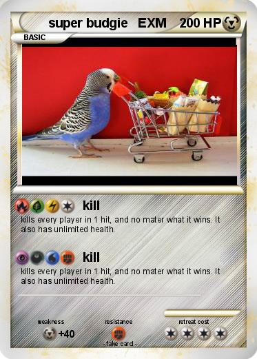Pokemon super budgie   EXM