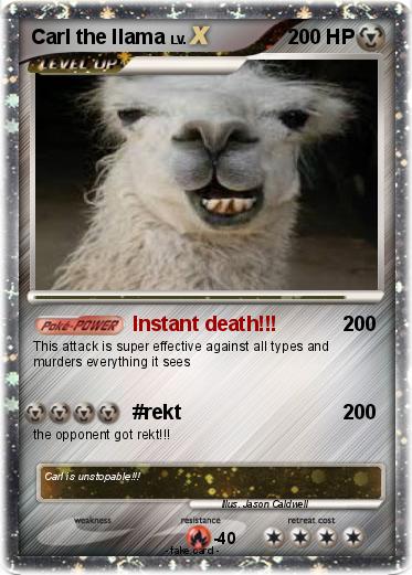 Pokemon Carl the llama