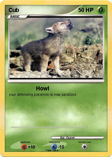 Pokemon Cub