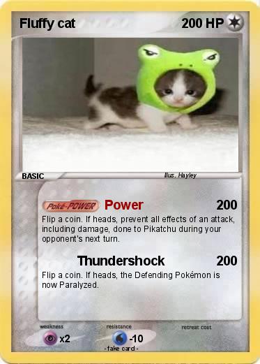 Pokemon Fluffy cat
