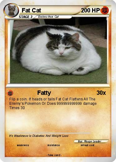 Pokemon Fat Cat