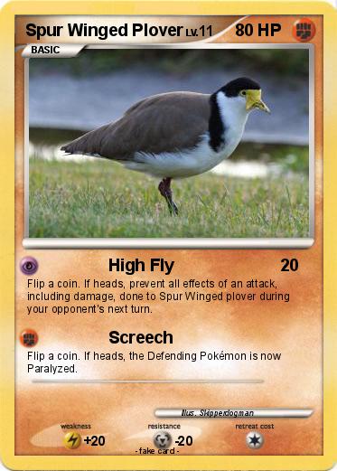 Pokemon Spur Winged Plover