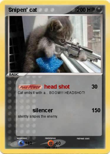 Pokemon Snipen' cat