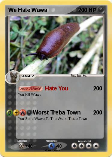 Pokemon We Hate Wawa