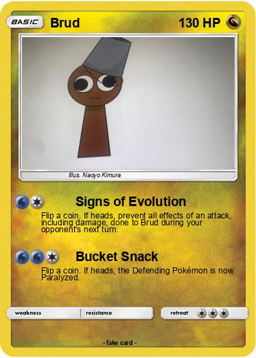 Pokemon Brud