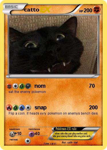 Pokemon catto